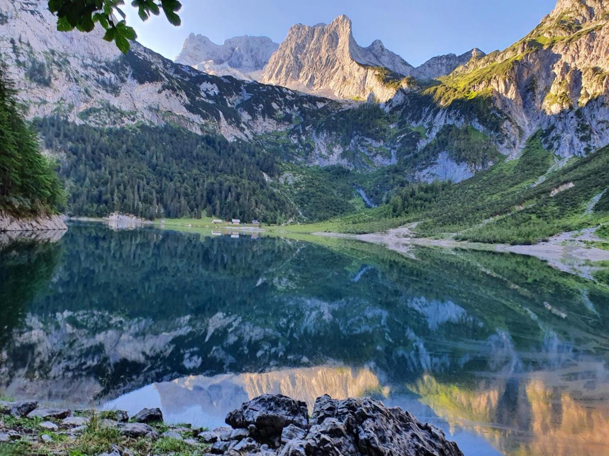 Ferienhaus Waldglueck Gosau Bagian luar foto